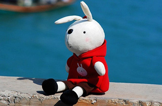 2011年兔年兔宝宝起名宝典